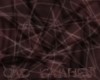 EINS - ��� ������