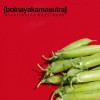 [bolnayakamasutra] electronica boys-band - 2
