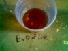 End of Life - 1