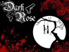 Dark Rose - 1