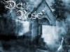Dark rose - 1