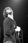ARCTIC RAIN - 3
