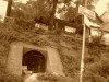 Stone Jungle - 5