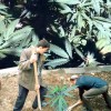 ��������������� ���-��������� ������� �������