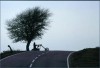 V ������������� ����-��� ��������� ������-����� 2005