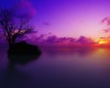 ������ ��������