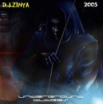 D.J.Zinya - Underground Budges