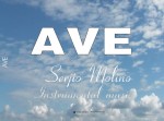   - AVE
