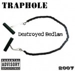 Traphole - Destroyed Bedlam
