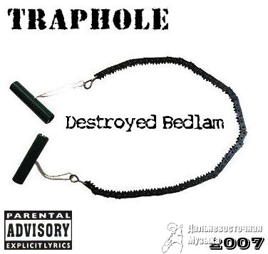 Traphole - Destroyed Bedlam