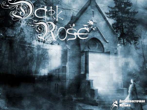 Dark rose - 1
