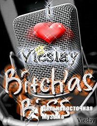 Vieslay - 4